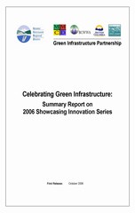 2006 summary report - showcasing innovation series