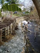 Bowker creek initiative - instream photo (180p)
