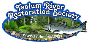 Tsolum river restoration society - logo (300p)