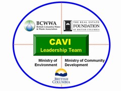 CAVI logo - june 2008 revised (240p)