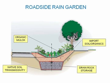 View royal showcasing - rain garden graphic