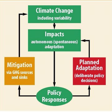 Climate change - mitigation and adaptation