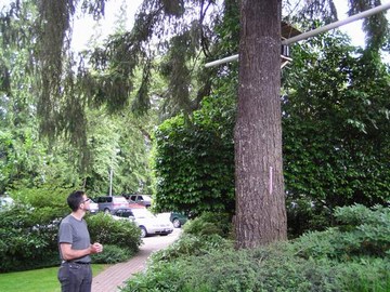 UBC gi tour - ubc tree canopy research project (june 2007)
