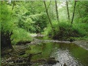 6Langley: watercourse scene (180p)
