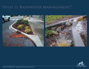 CRD 14 - what is rainwater management