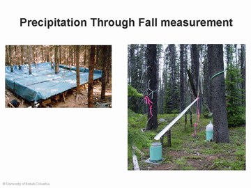 Through fall measurement