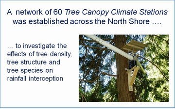 UBC tree canopy interception research project