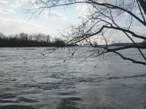 Potomac river (300p)